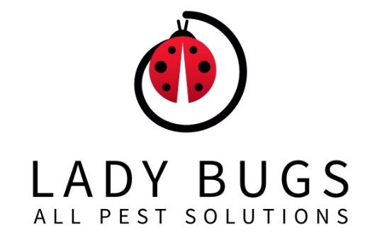 Lady Bugs All Pest Solutions